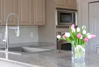 The kitchen with shining coated countertops with plants at Littleton, CO 