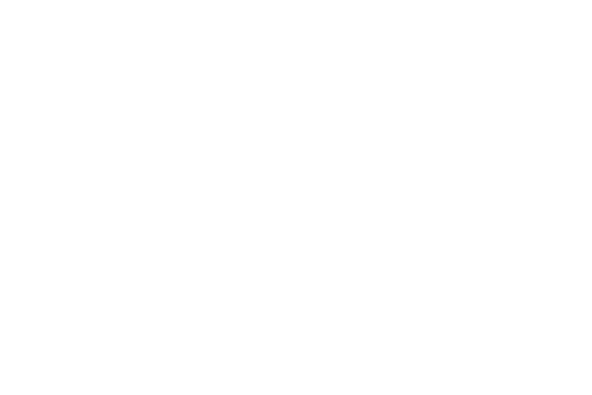 icon1