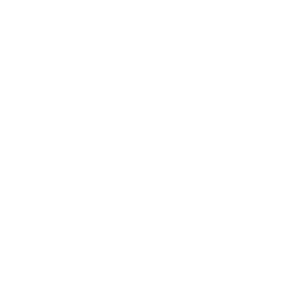 icon2