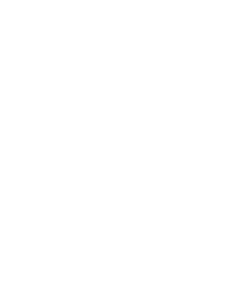 icon3